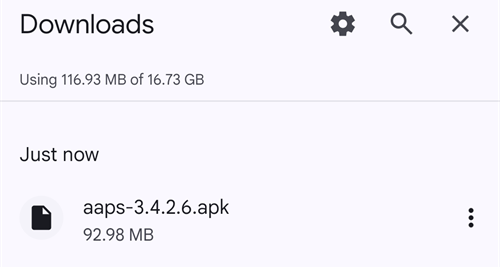 包含 AAPS APK 的 Chrome Downloads