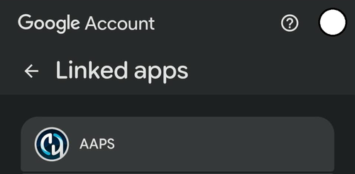 aaps_ci_google_access_1